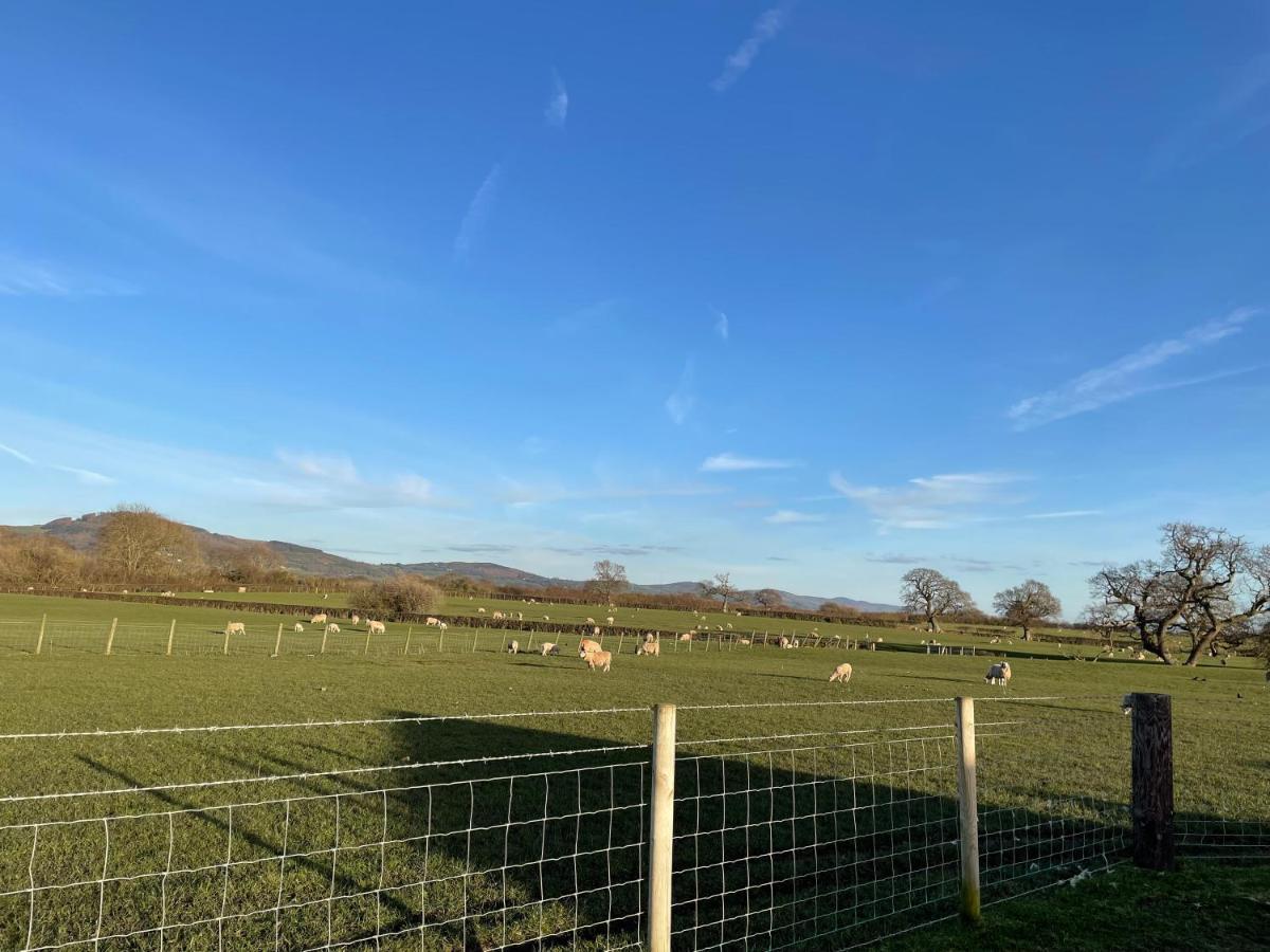 Abbey Farm Luxury Glamping Hotell Rhuddlan Eksteriør bilde